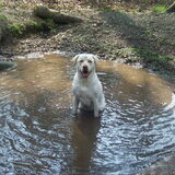 Foto van esther