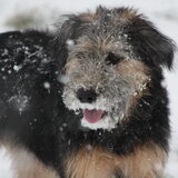 Duke negen maand later. Zijn eerste speeltijd in de sneeuw