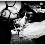 Samen slapen ?