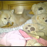 Koning Cloudy showt zijn troon op bed...