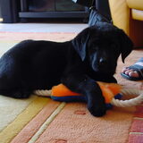 Om op te eten toch, de knuffel heeft hij nog steeds, alleen is die nu…