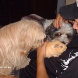 Luna en Turbo willen ook ff knuffelen met Jimmy