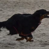 Actie....