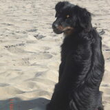 Foto van Sammie