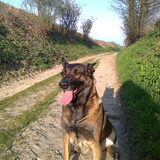 Zora, april 2012.... Zoooooo ontzettend slim en zooooo ontzettend lief…
