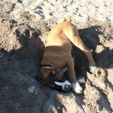 de keerste keer gegraven op het strand