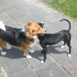 SOES ff kennis maken- Vliet-Leiden- juni 2009