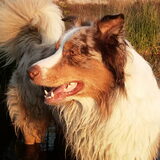 Foto van Amber & Lootah