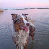 Foto van Amber & Lootah