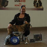 denovobulls storm best of male puppys en best of show