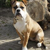 xenna ook n dochter van kira en een zus van dinky