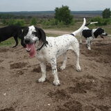 Bram poseert...even dan