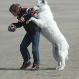 Hier die bal !!!