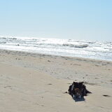 de zee is nog steeds wel eng