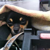 In de regen, op de fiets. 'waarom mamma? waarom?'