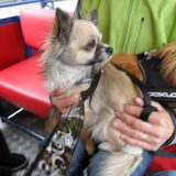 mizka ook mee op het treintje