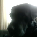 sheila zit op de bank en zit net als baloe. kon ook even een foto…