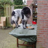 Foto van Loes
