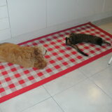Marie en Tibo