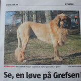 Hondenvriendje Storm... arm ding