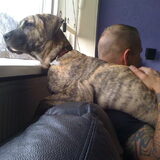 pup rox 1 dec 2011
