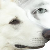 Even photoshoppen zo laat in de nacht ...