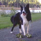 Foto van Mena&Bowie