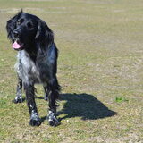 Foto van Maks met Fenna & Yuna