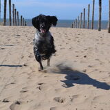 Foto van Maks met Fenna & Yuna