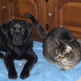 Samen met m`n broertje Bo