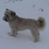 Foto van Daniel