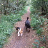 Bailey met Jaro
