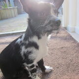 Me mooie schat!