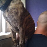 is dit normaal haha