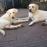 Foto van esther