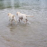 samen spetteren...