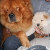 Dusty en Diva