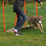 Foto van Sasch&de 2 idioten ^.^