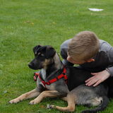 Foto van Doberkiki