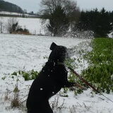 Nadia vangt een sneeuwbal