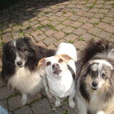 Drie vriendinnen