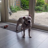 mag ik naar buiten? pleaseee, pretty please???