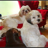 Gezellig samen (Cloudy lag op schoot haha)