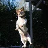 weer een leuke actie foto van jacky