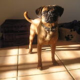 Grote jongen