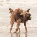 Foto van team Shadow