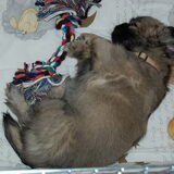 ***ZZZ***ZZZ***ZZZ***