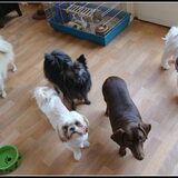 Cloudy, Zazou, Deva, Camila en Sammy