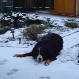 Foto van Oud-lid