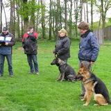 Foto van Hesci